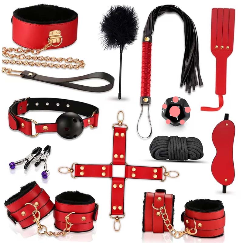Health Wellness Training - 12-Piece Couples BDSM Bondage Kit untuk