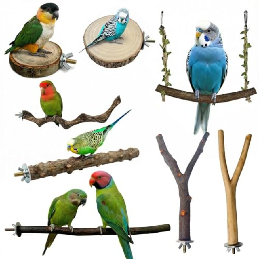 Health & Wellness Stores - 8PCS tempat bertengger burung dari kayu