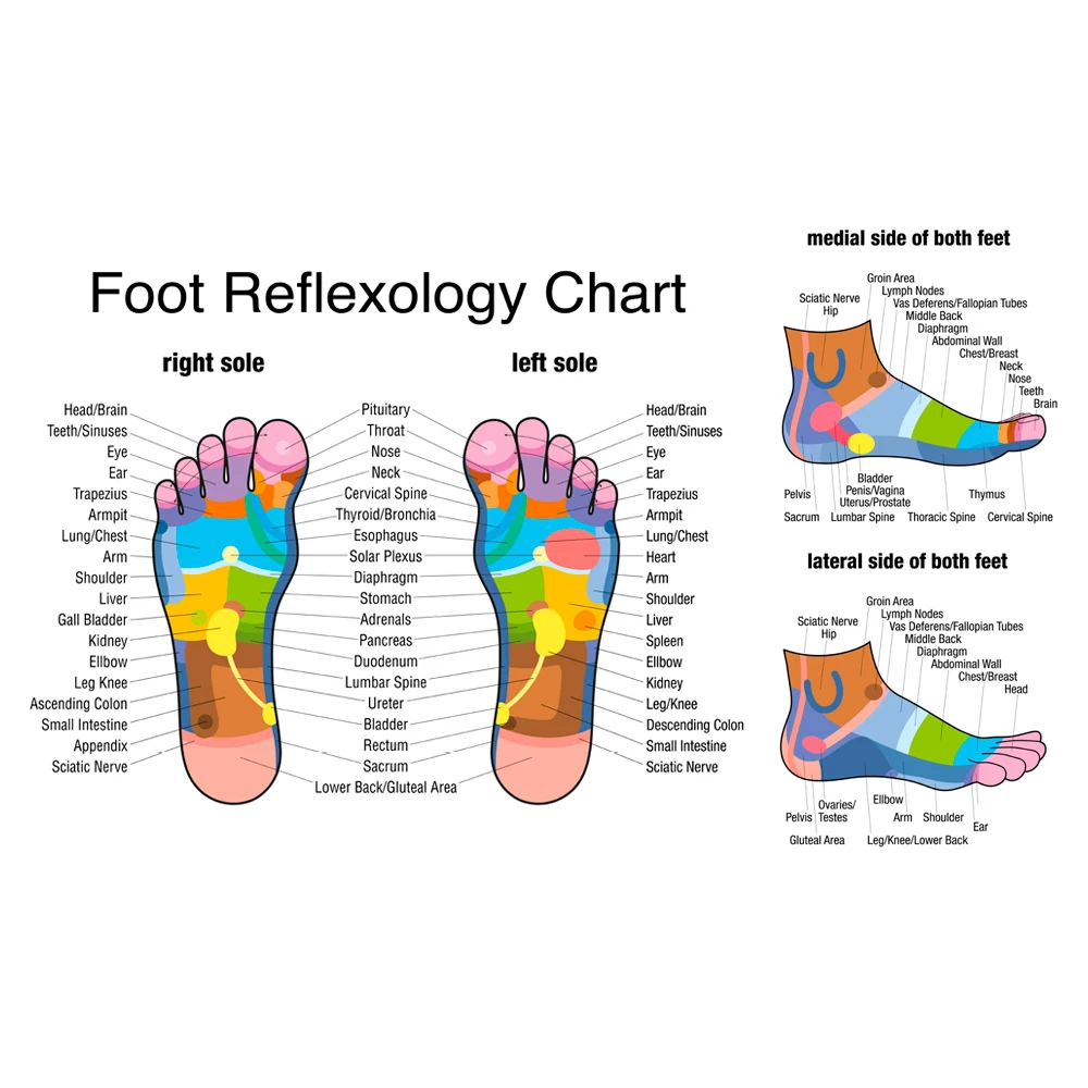 Rol pijat kaki kayu mengurangi - Foot Bath Massager ulasan dan harga