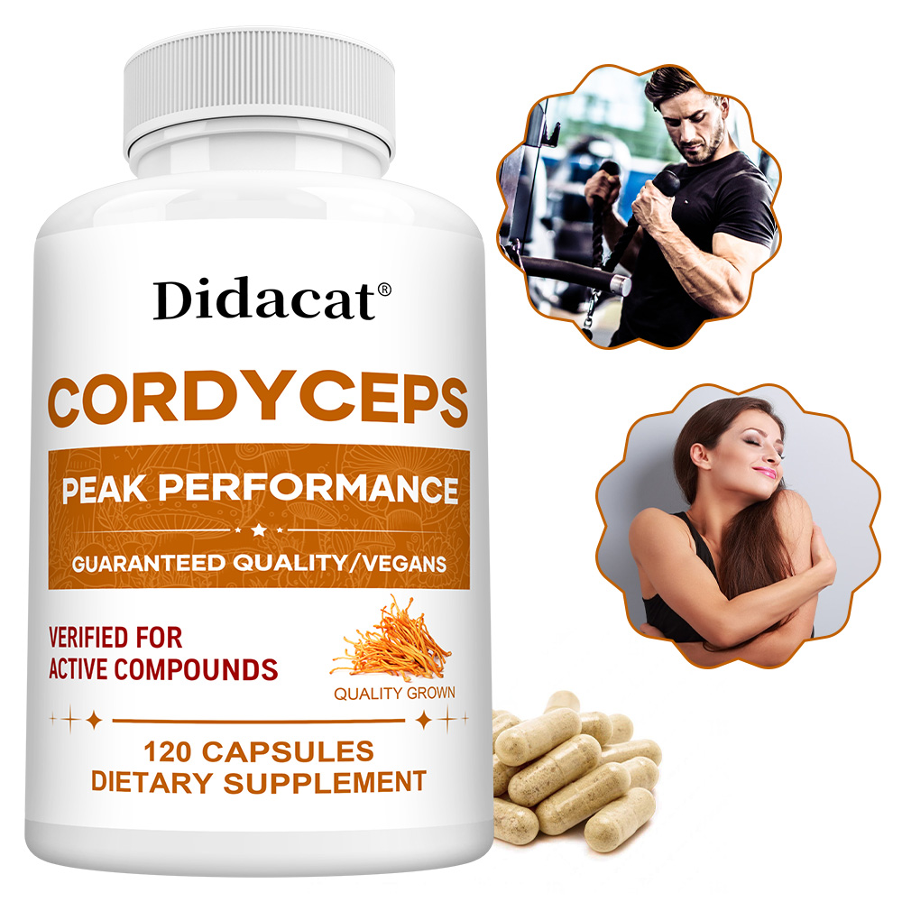 Kapsul Jamur Cordyceps 1000mg, - Health Wellness Day ulasan dan harga